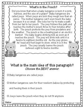 Nonfiction Main Idea Passages 2nd Grade Image