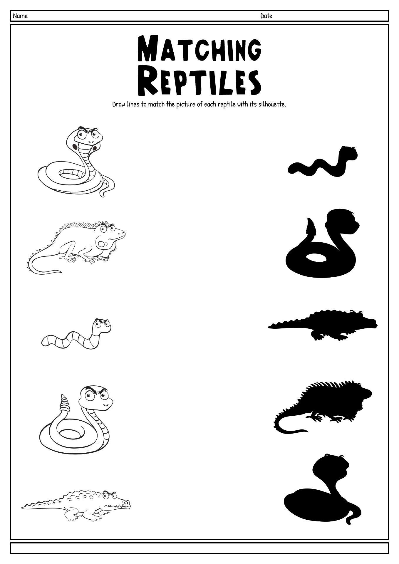 Printable Reptile Worksheets
