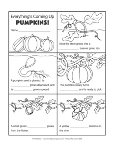 Pumpkin Plant Life Cycle Worksheet Image
