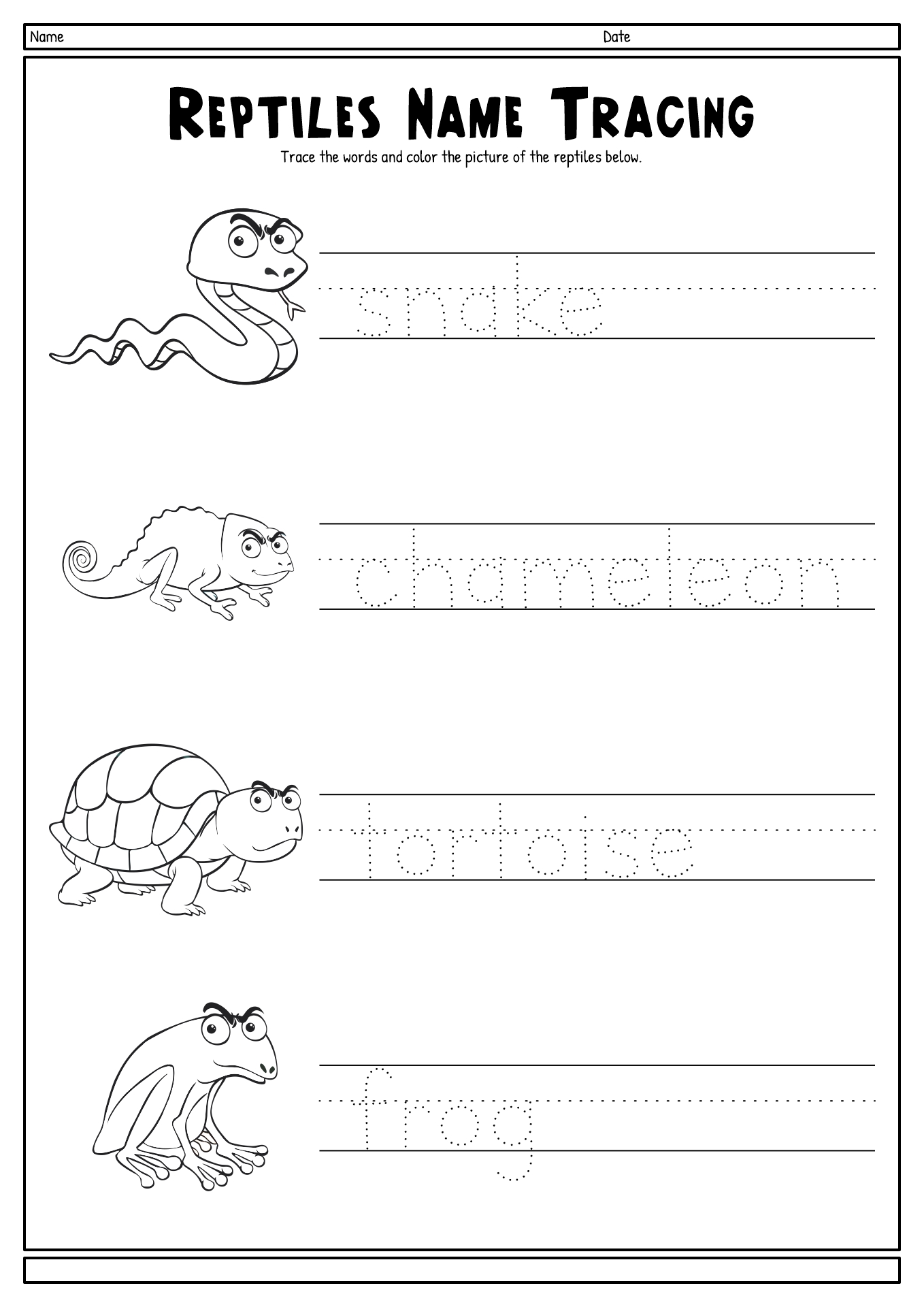 Reptile Worksheet Kindergarten