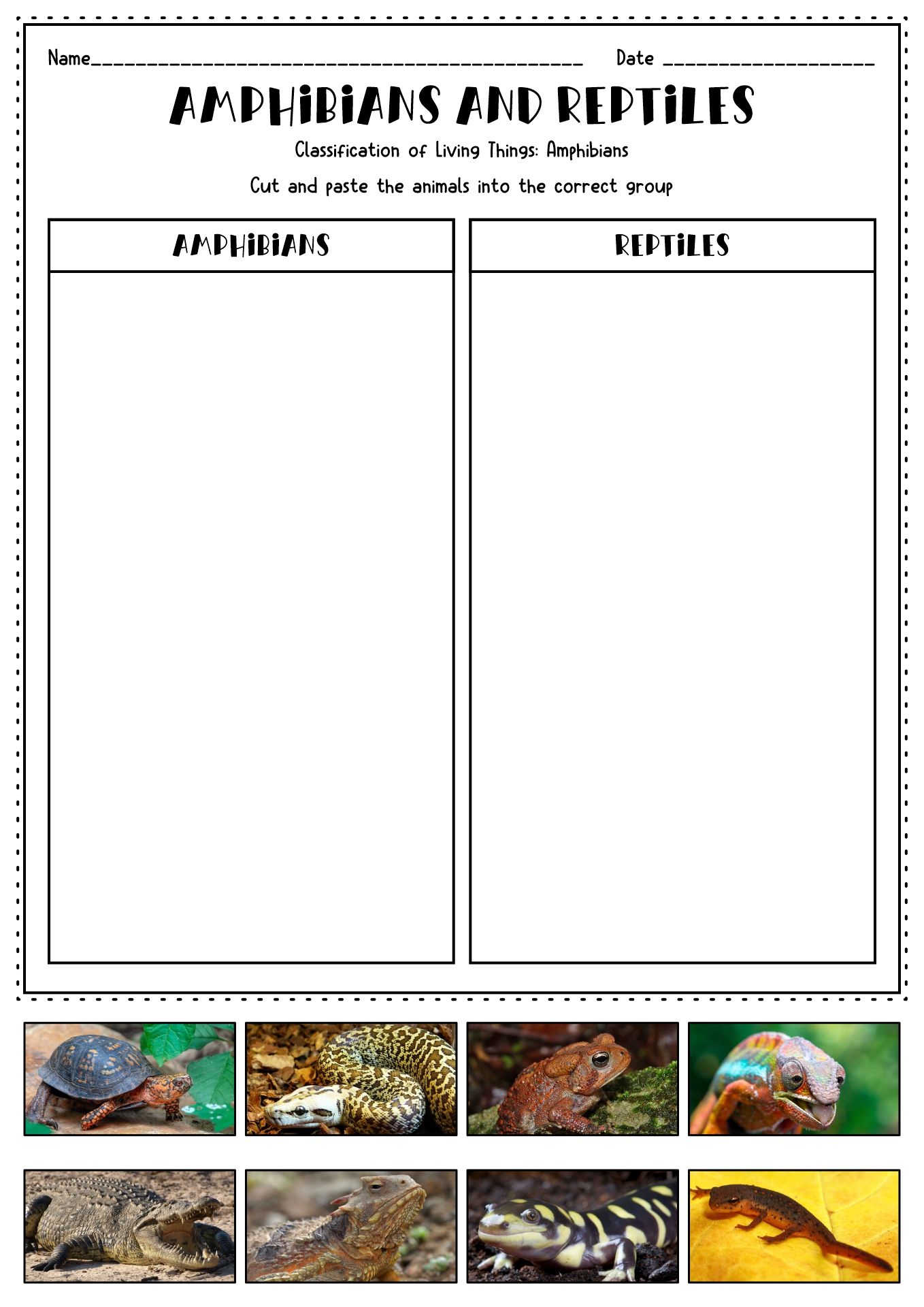 Reptiles and Amphibians Worksheets