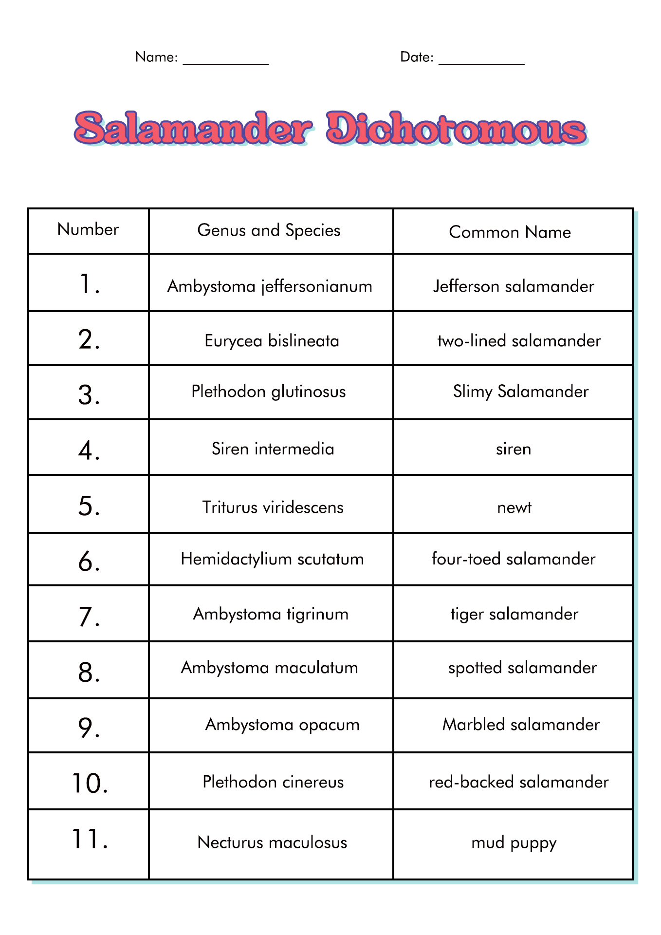 13 Best Images Of Dichotomous Key Worksheets Leaf Dic - vrogue.co