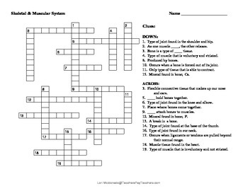Skeletal and Muscular System Crossword Puzzle Image