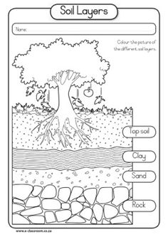 Soil Layers Worksheets for 3rd Grade Image