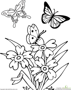 Butterfly Coloring Page Worksheet Image