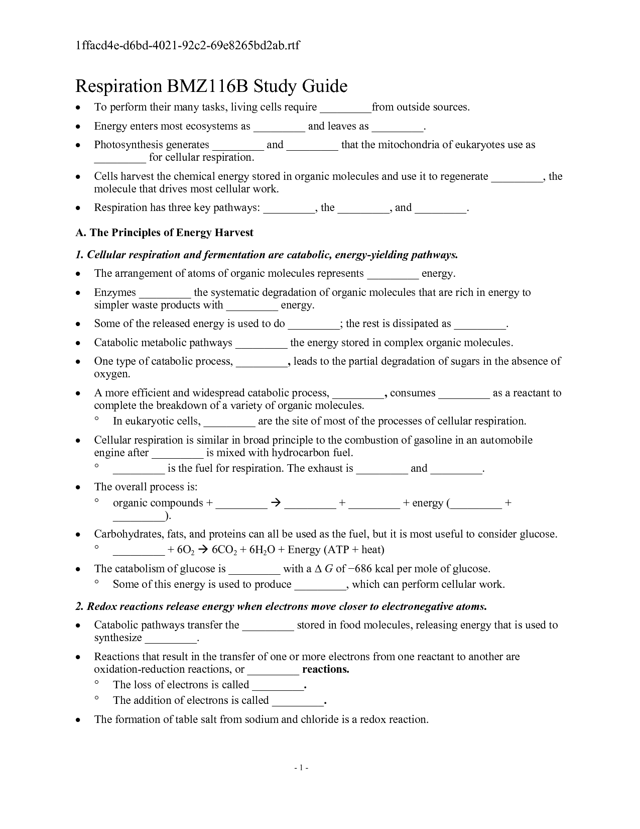 cellular respiration case study answers