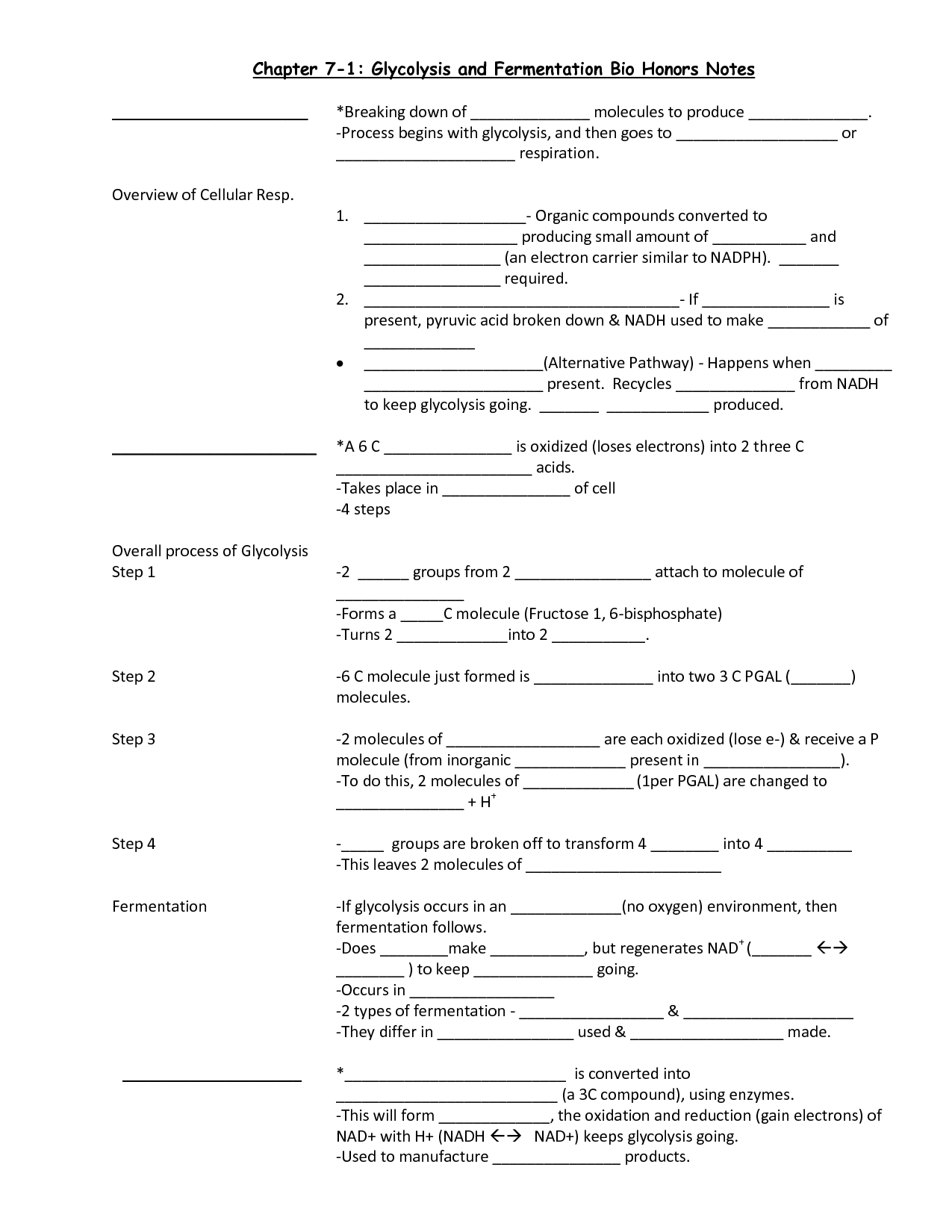Monohybrid Cross Worksheet and Answers Image