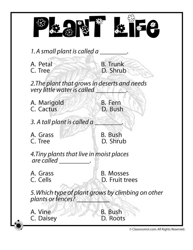 19-plant-worksheets-for-kindergarten-worksheeto