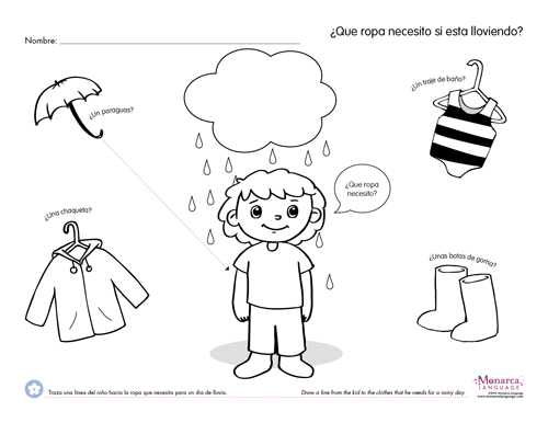 Visual Memory Worksheets and Questions