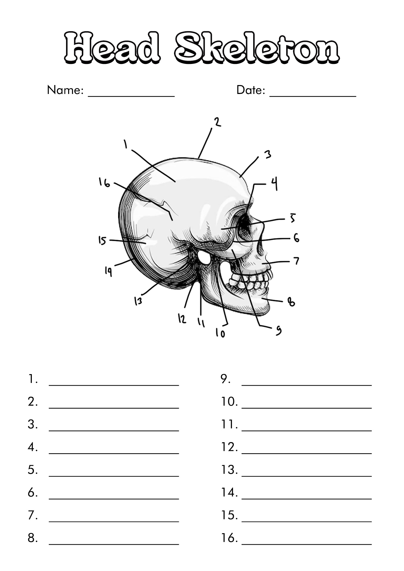 Anatomy and Physiology Printable Worksheets Image