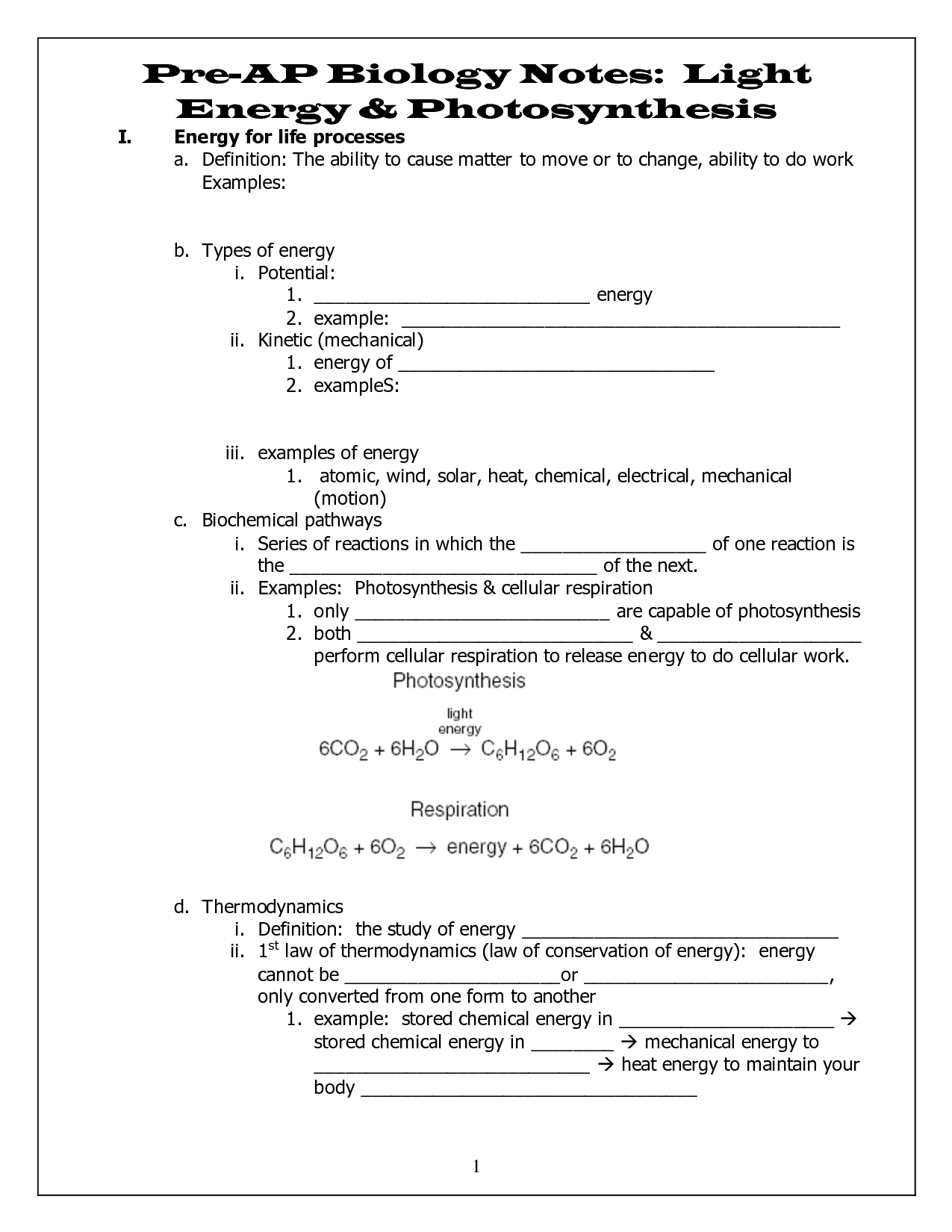 AP Biology Photosynthesis Worksheet Answers