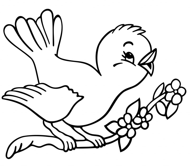 Bird Coloring Pages Image