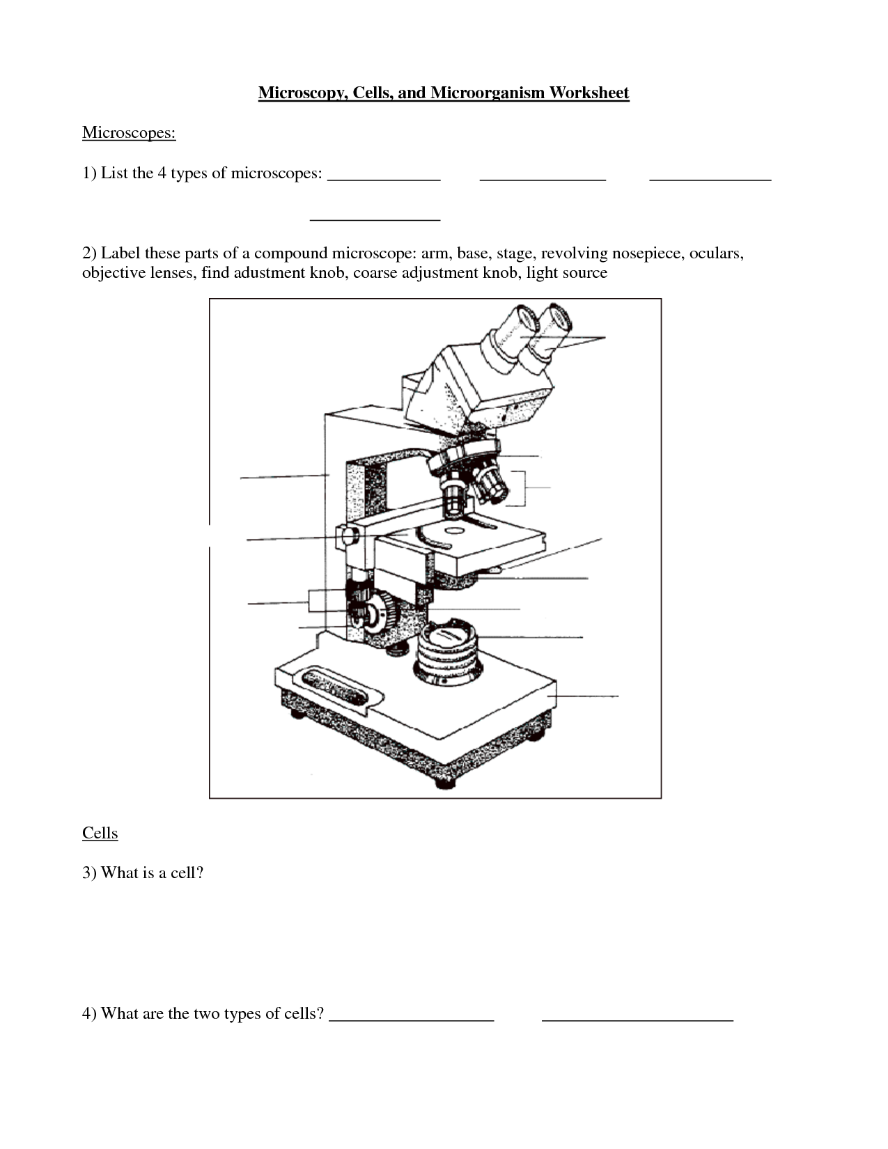 Cells and Microscope Worksheet Image