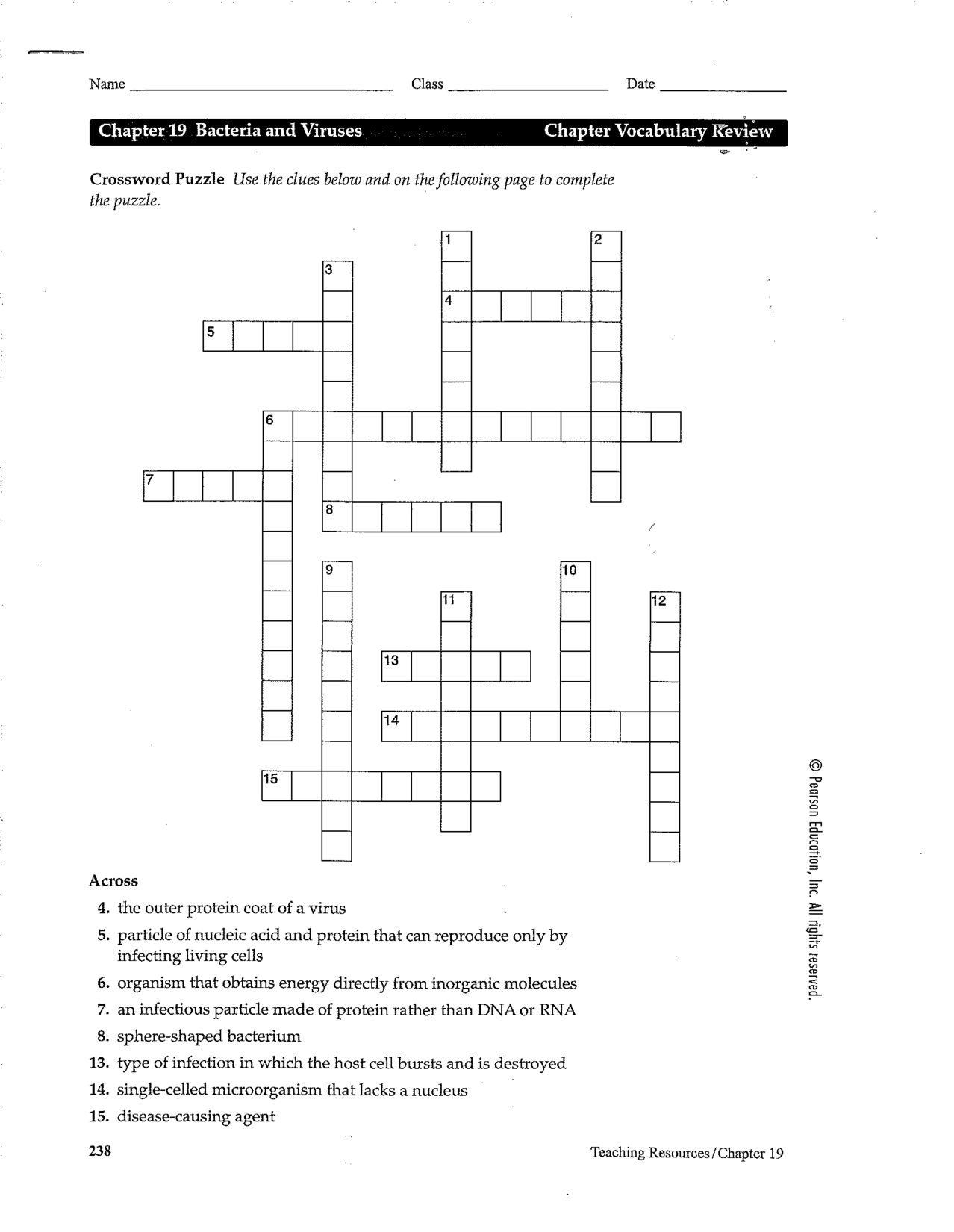 Chapter 19 Bacteria and Viruses Crossword Answers Image