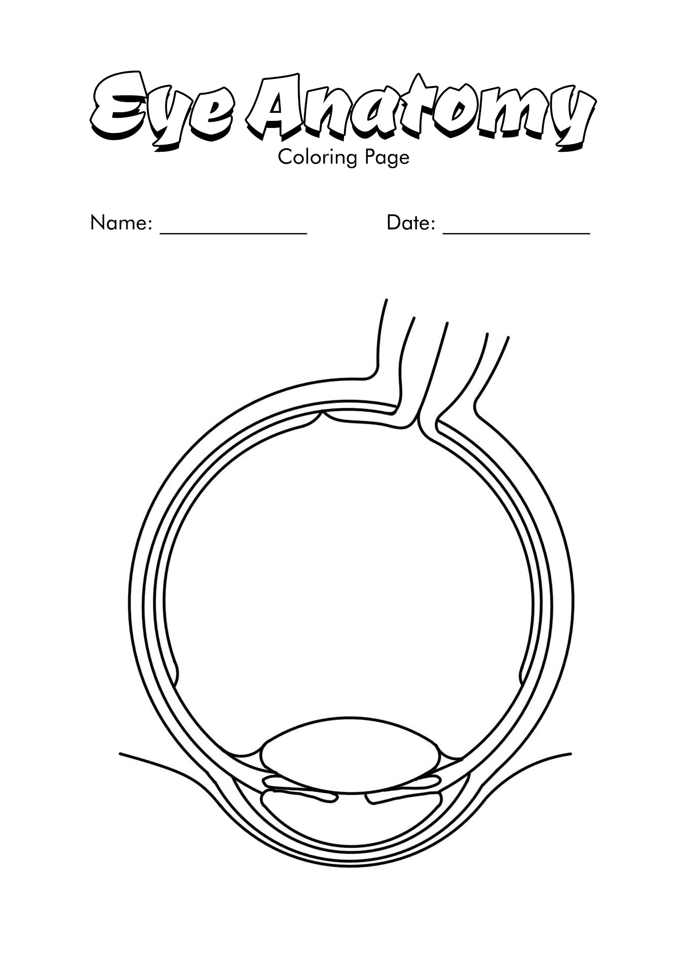 Eye Anatomy Coloring Page