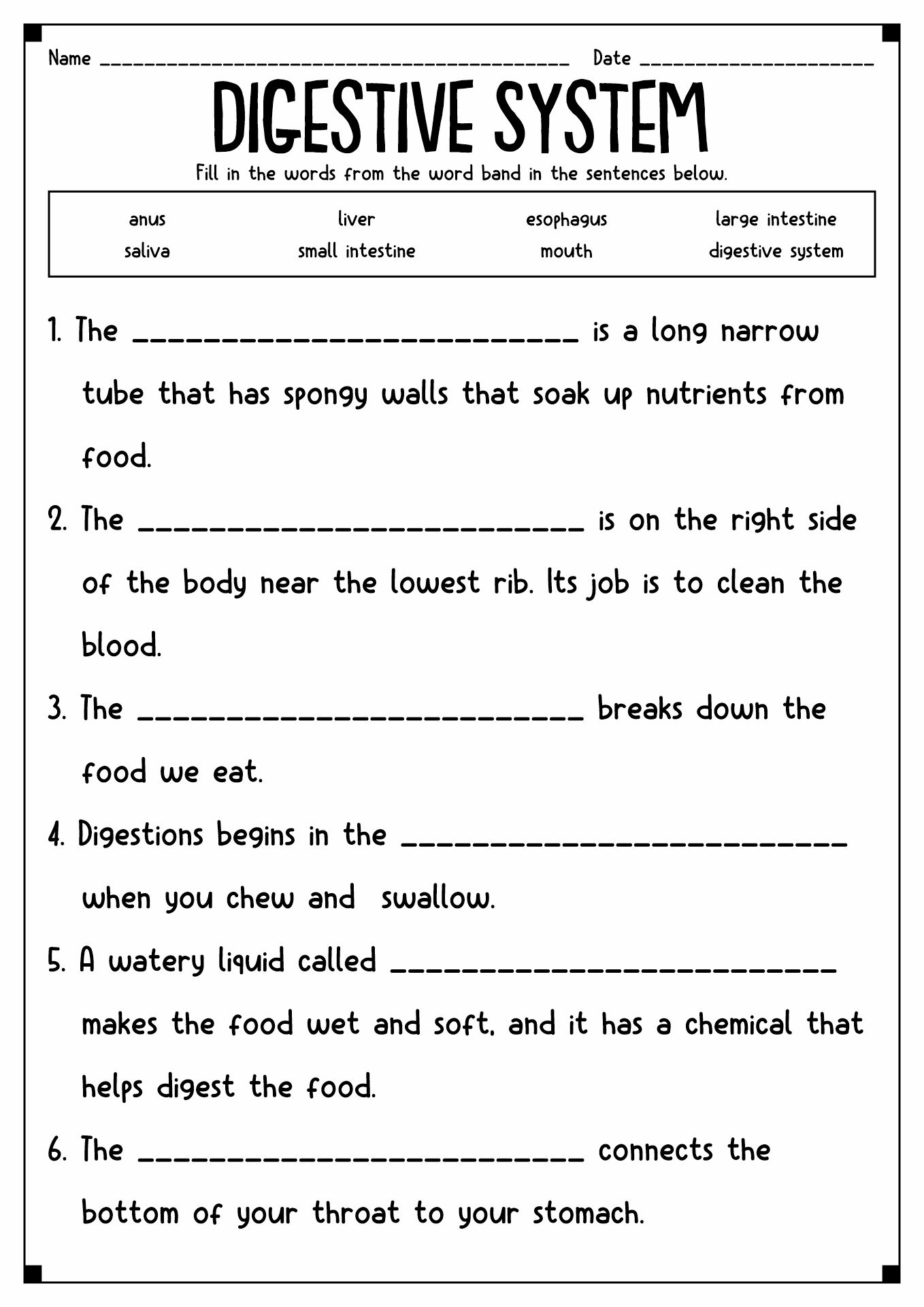 Fourth Grade Science Worksheets