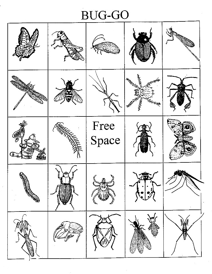 Free Printable Insect Bingo Cards Image