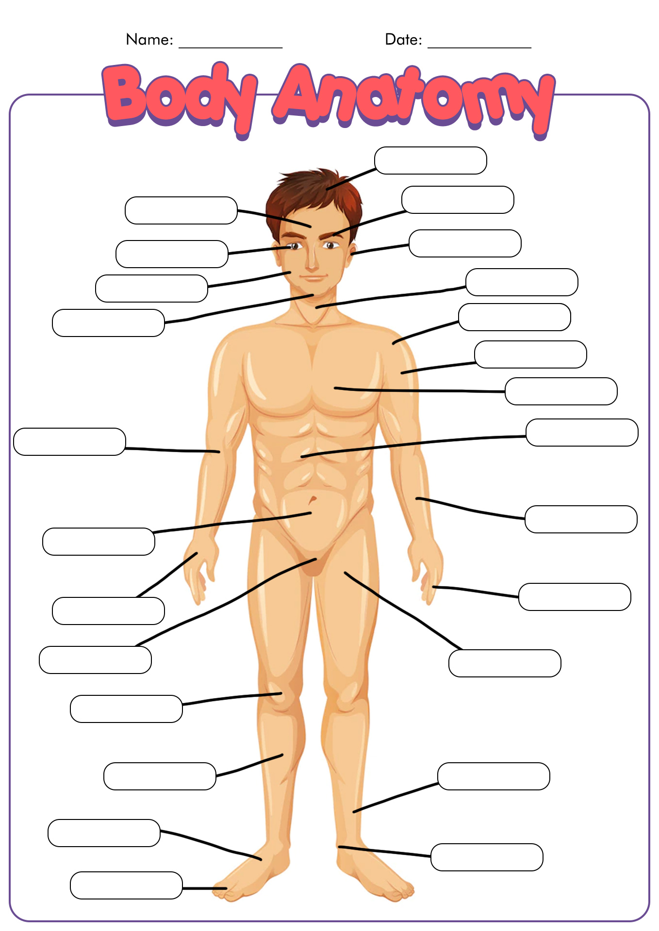 Human Anatomy Body Landmarks Worksheet Image