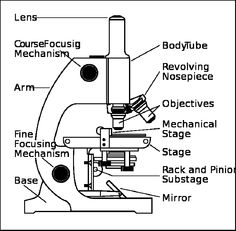 Microscope Parts Worksheet Image