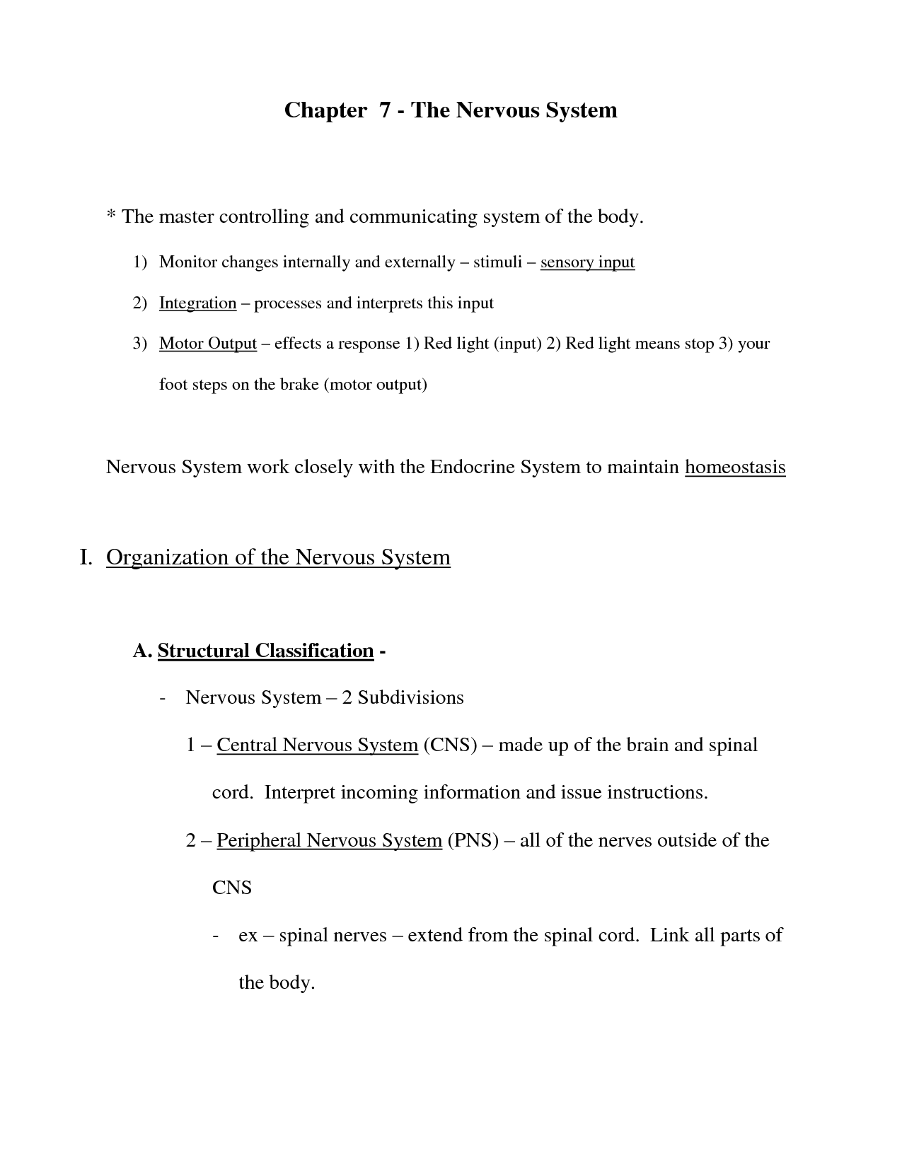 Nervous System Worksheet Answers