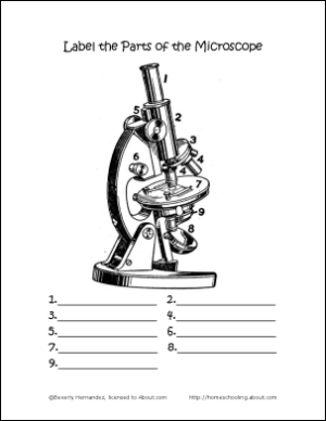 Science Microscope Worksheets Image