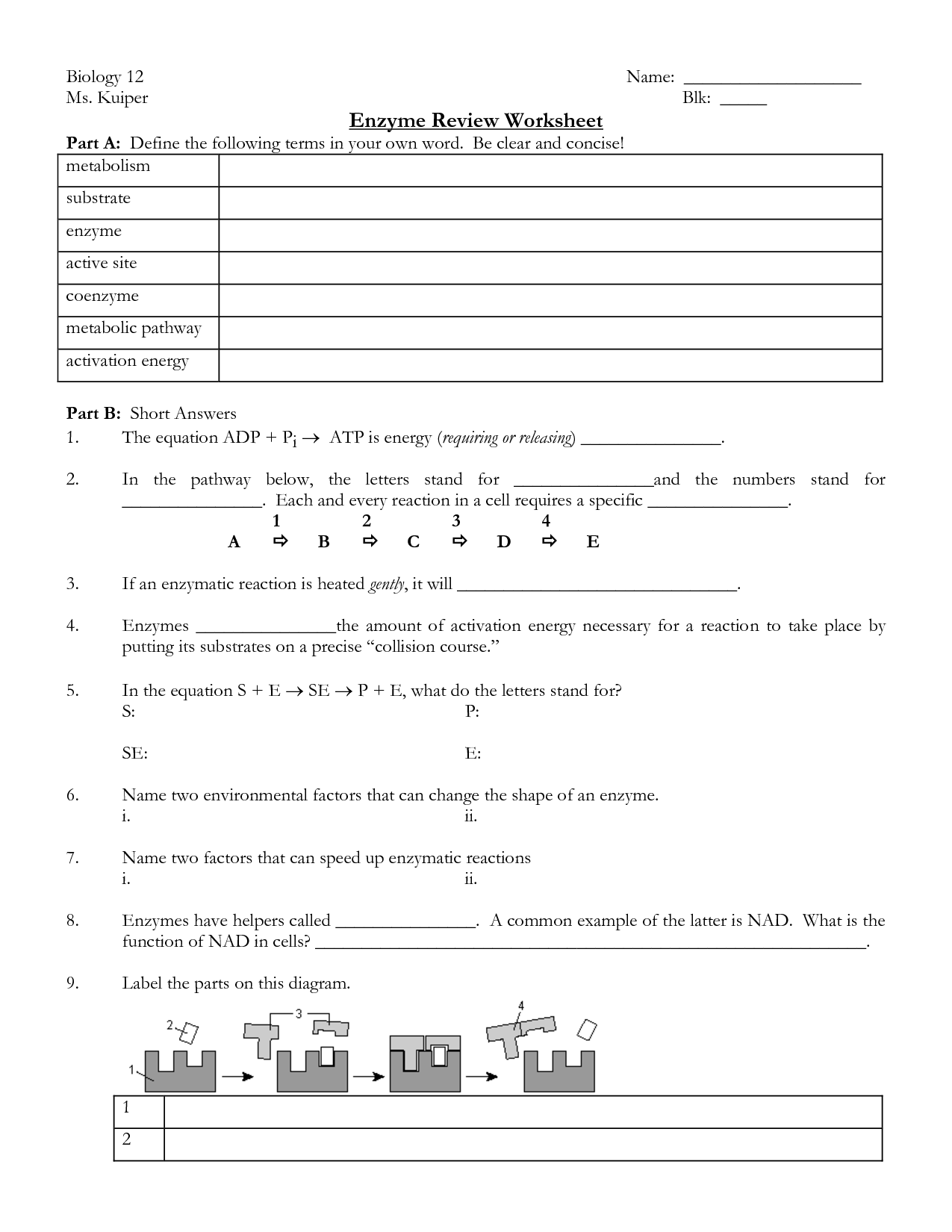 The 12 Cell Review Worksheet Answers Biology