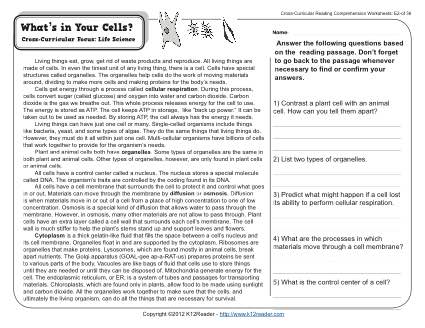 5th Grade Reading Comprehension Worksheets