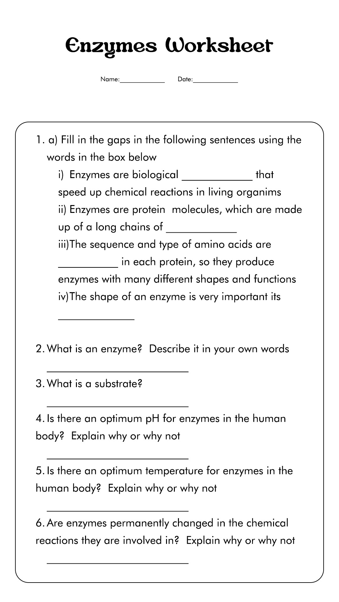 Biology Enzyme Worksheet High School