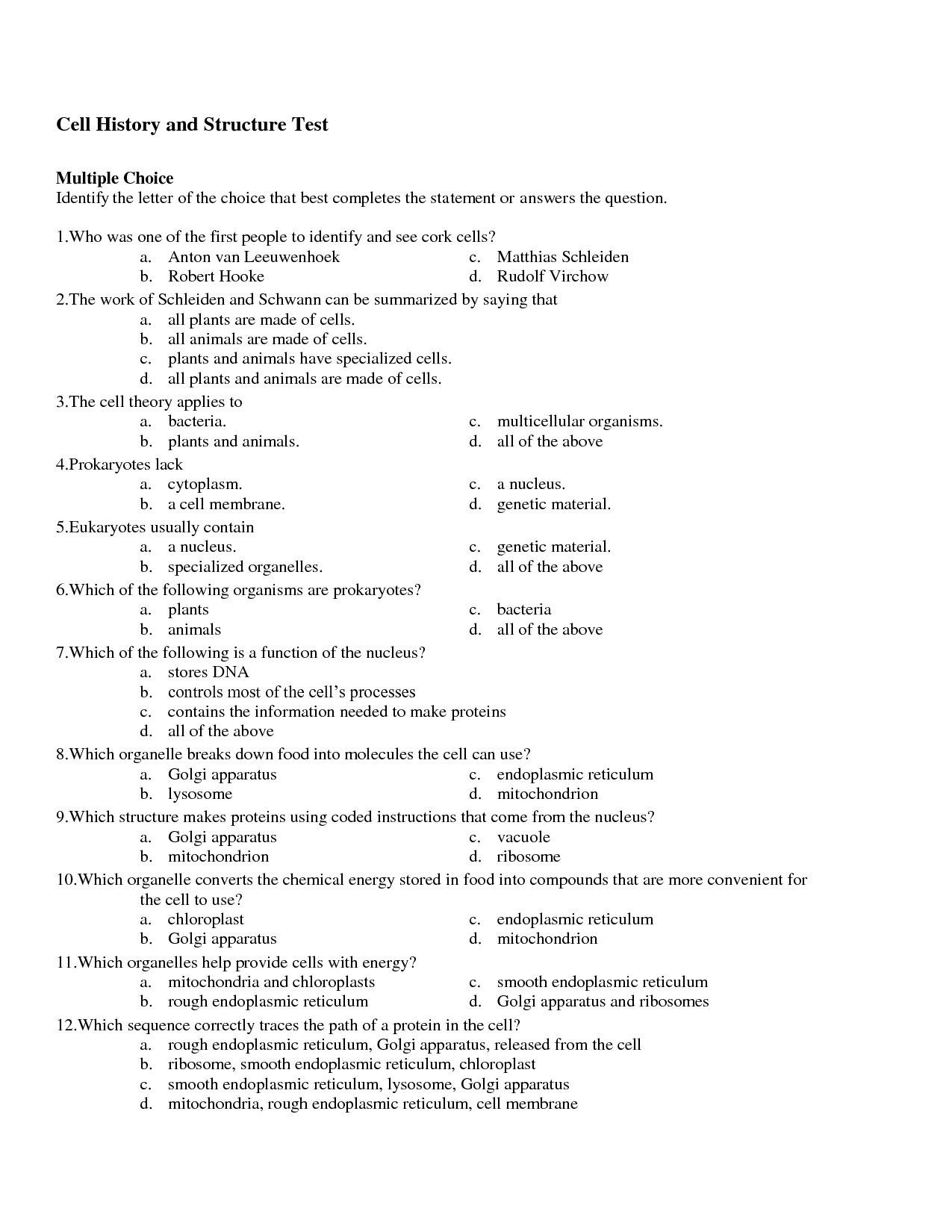 Stem Structure And Function Worksheet Answers