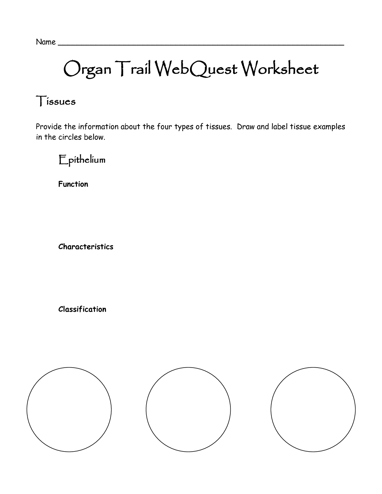 Organ Systems Worksheet Image