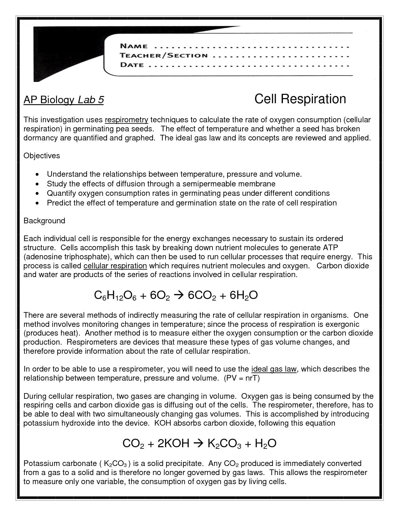 AP Biology Cellular Respiration Worksheet Image