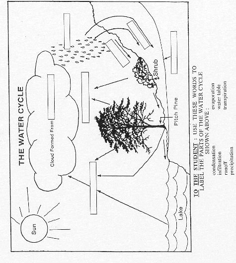 Blank Water Cycle Diagram Worksheet Image