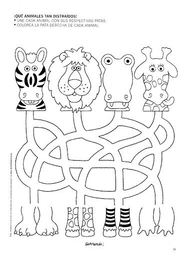 Jungle Animal Worksheets Preschool Image