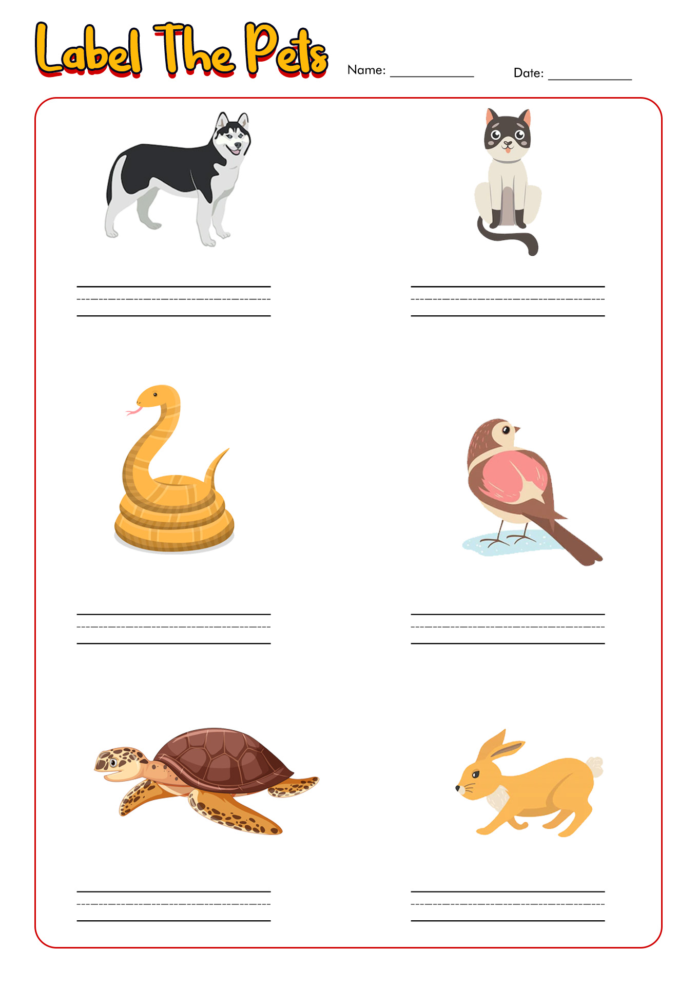 14-best-images-of-pet-animal-worksheets-preschool-worksheeto