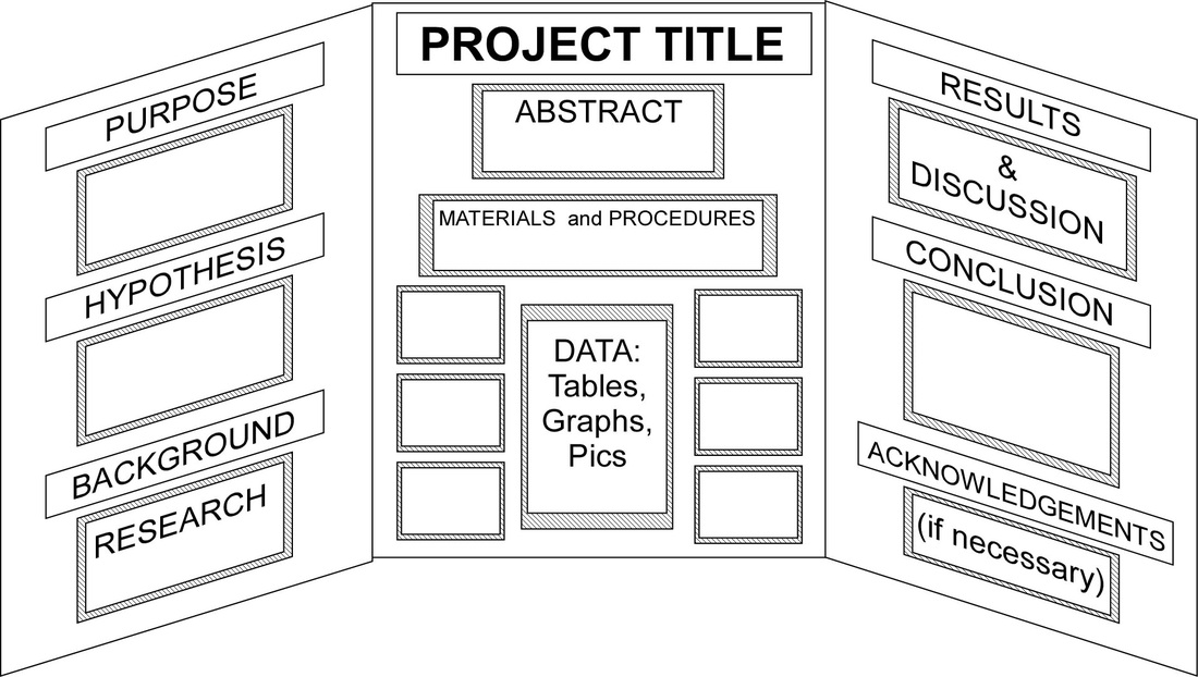 Science Fair Project Display Board Layout Image
