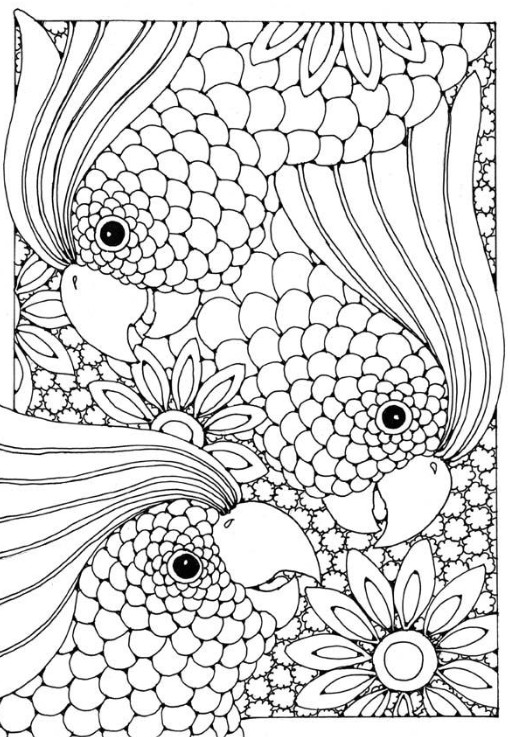 Cockatoo Coloring Pages Adult Image