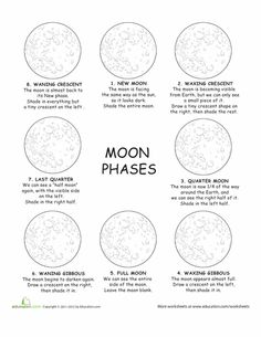 Moon Phases Worksheet Image