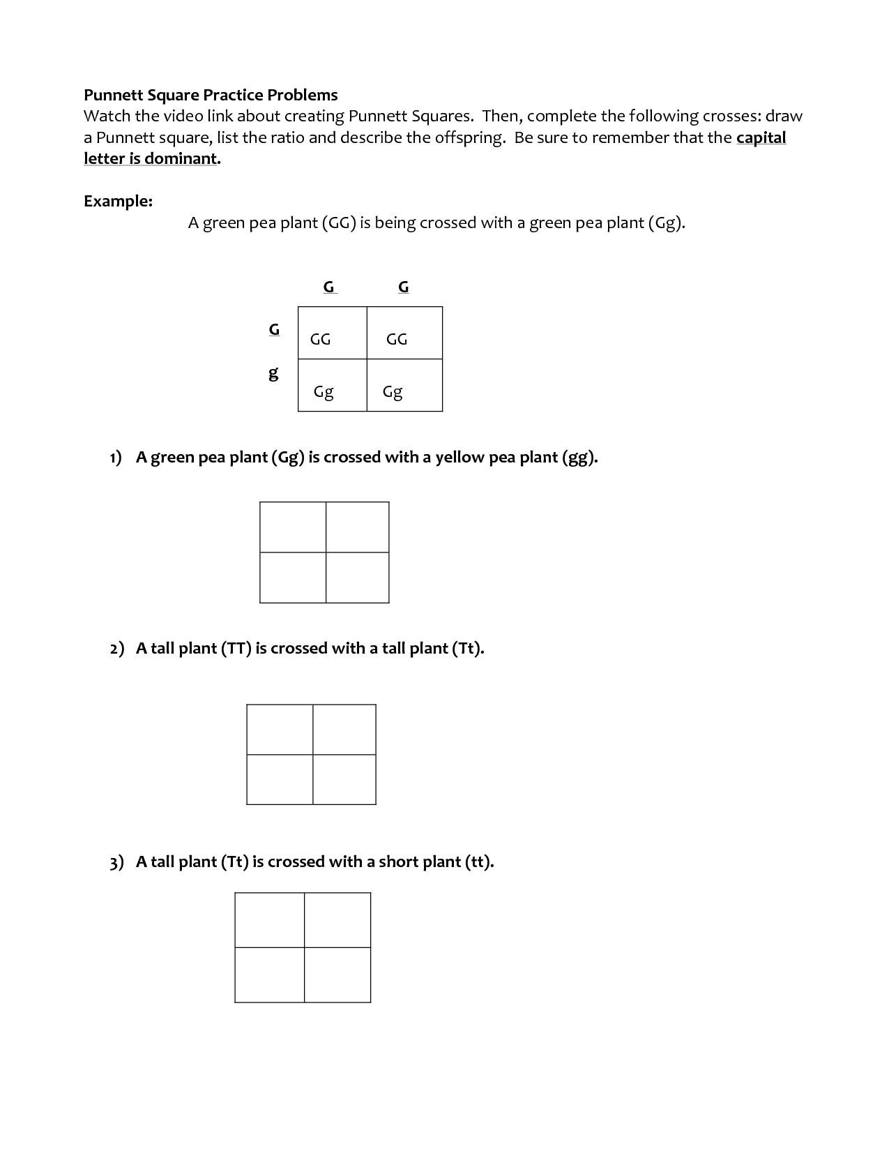 punnett-square-practice-worksheet-2-answer-key