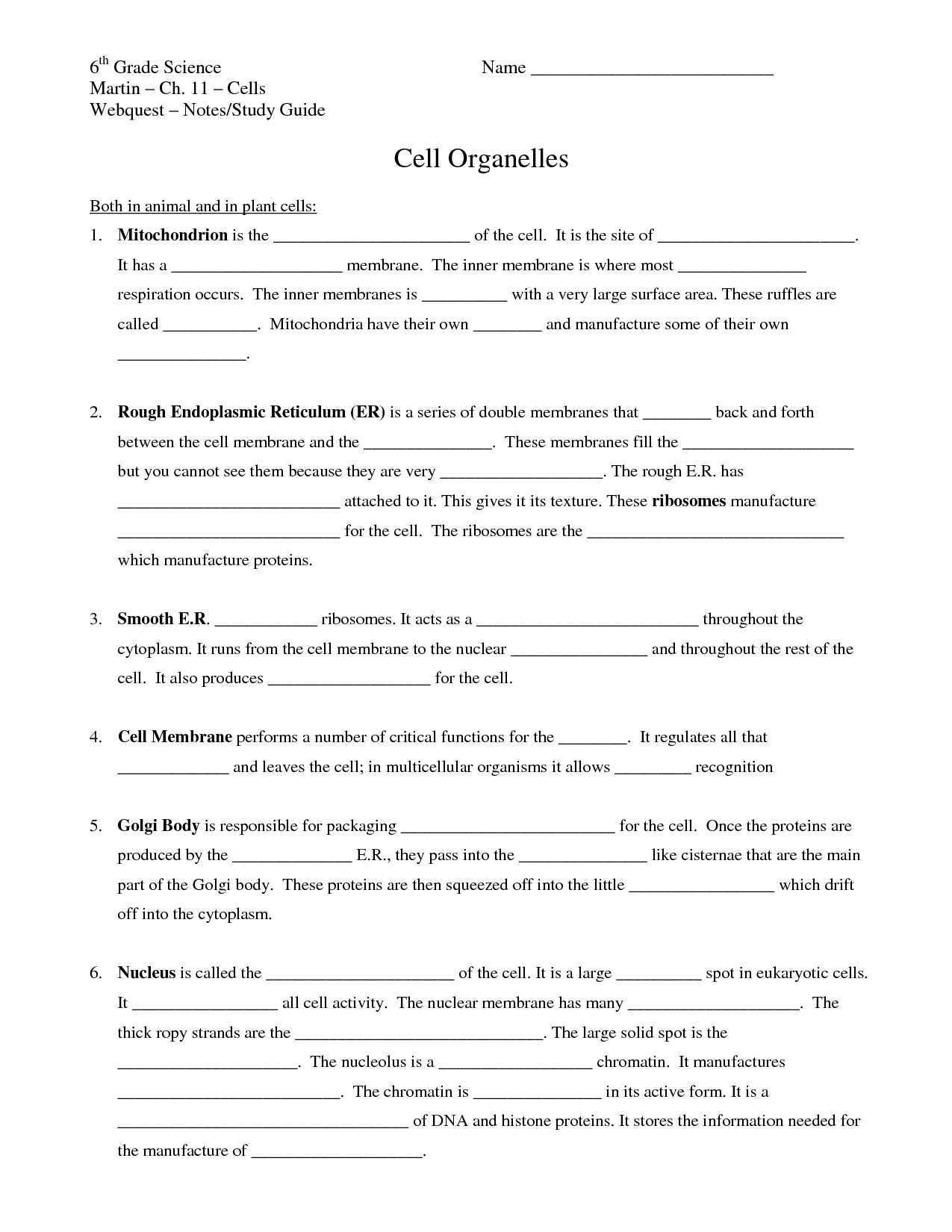 10 6 Grade Science Worksheets Worksheeto