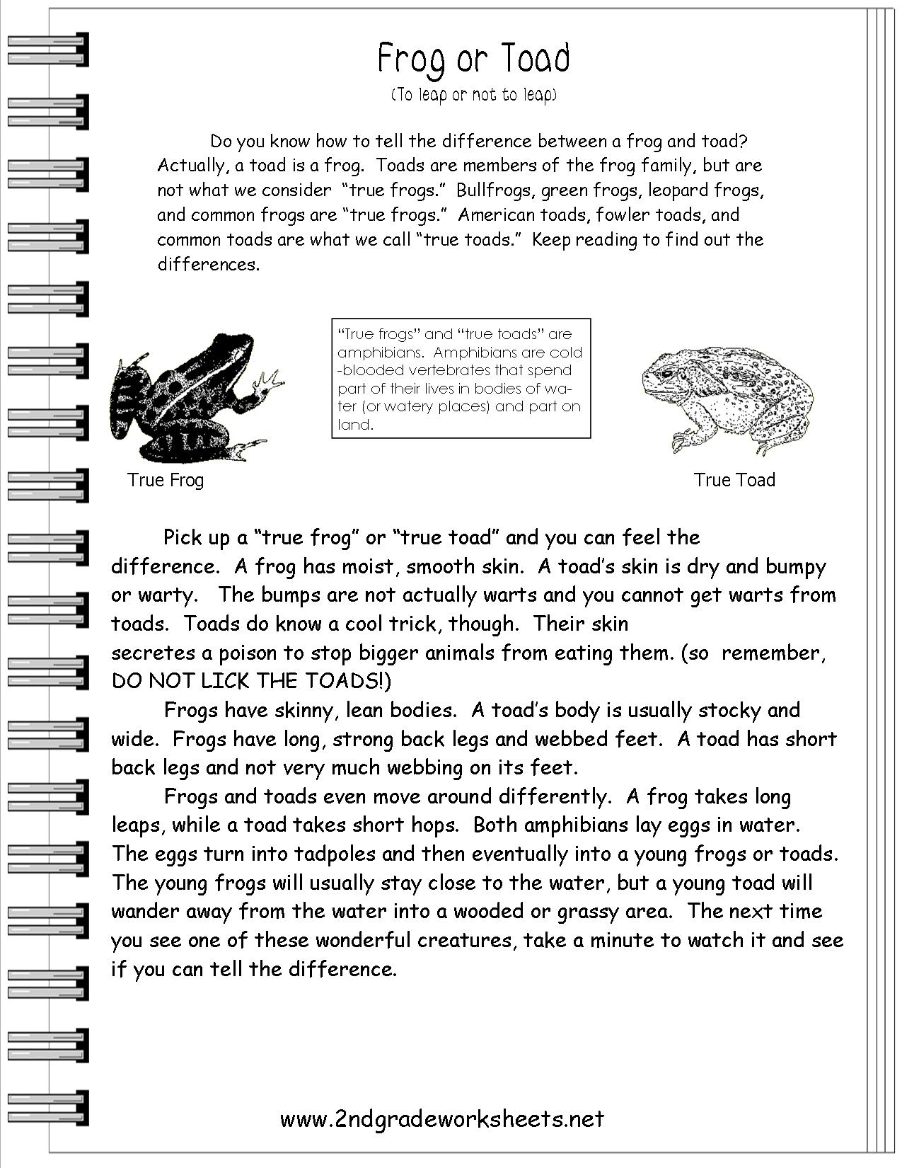 Reading Informational Text Worksheets 2nd Grade Image