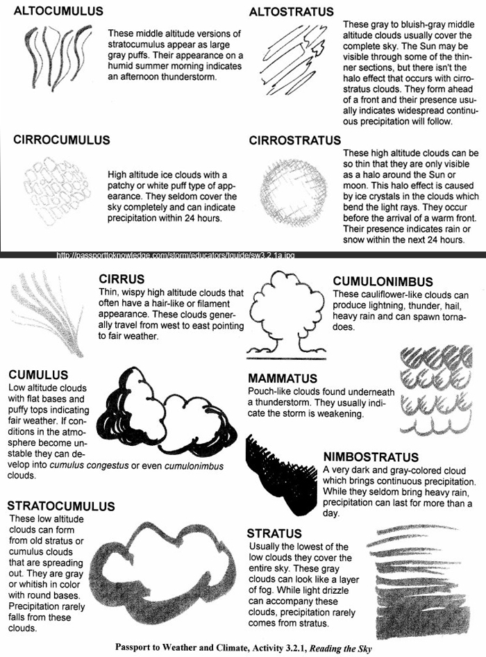 15 Best Images of Cloud Classification Worksheets