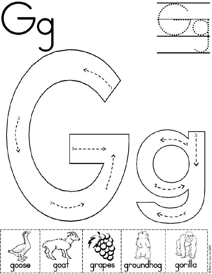 Alphabet Letter G Worksheet