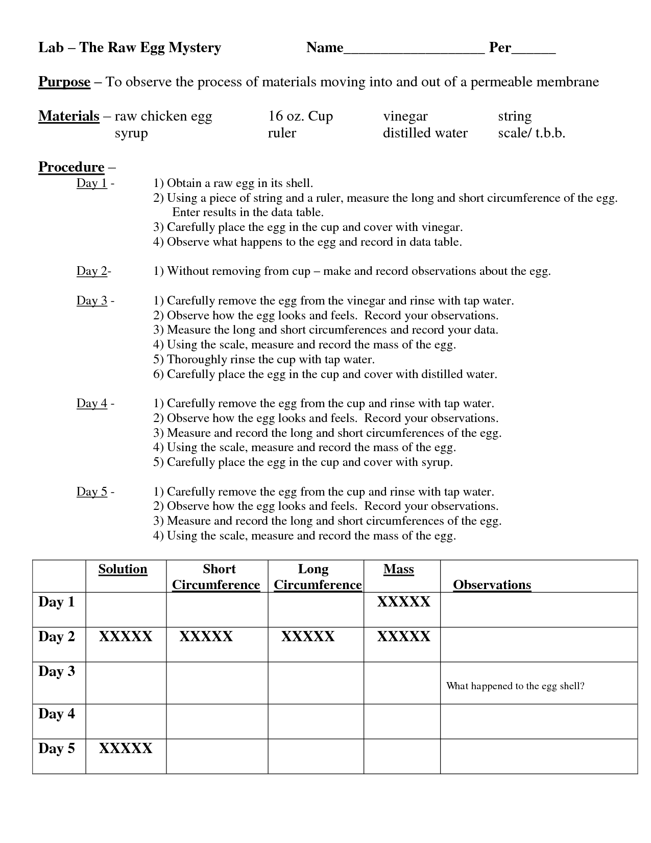 15-egg-and-vinegar-experiment-worksheet-worksheeto