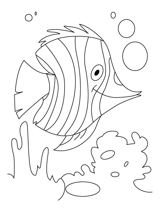 Fish Coloring Pages Image