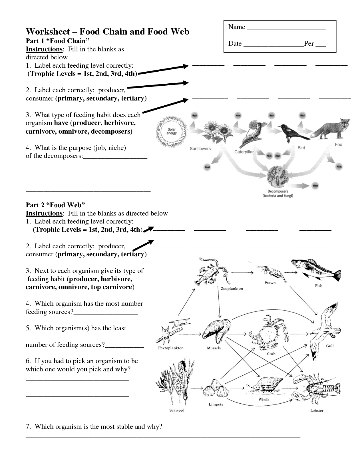 Food Chains and Webs Worksheets Image