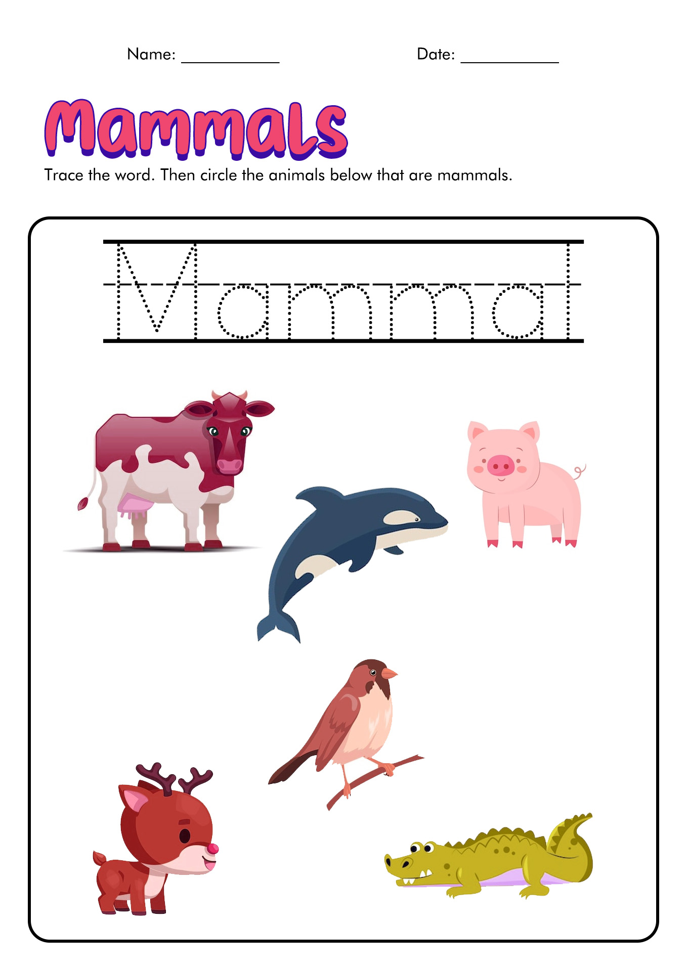 Free Printable Mammals Worksheet