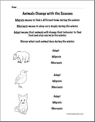1st Grade Science Worksheets Animals