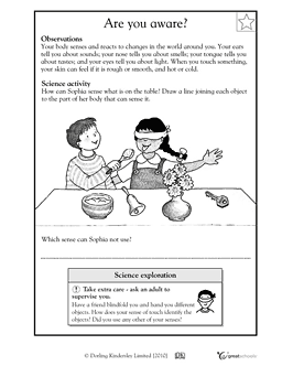 First Grade Science Worksheets