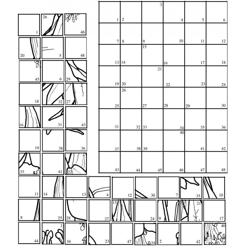 Mystery Grid Drawing Image