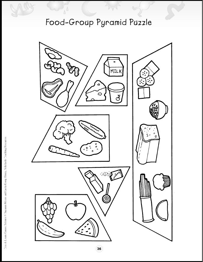 Food Groups Pyramid Worksheets Image